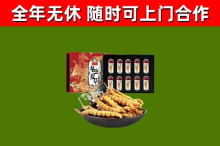 大箐山县回收冬虫夏草价格