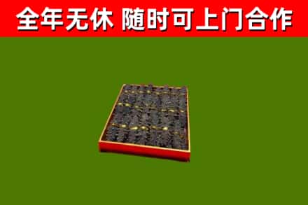 大箐山县回收海参